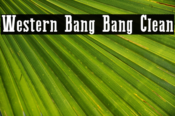 Western Bang Bang Clean Example 2