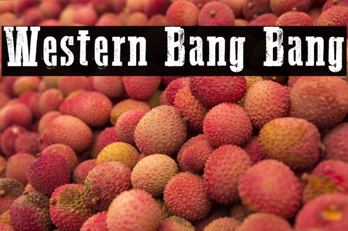 Western Bang Bang Example 3