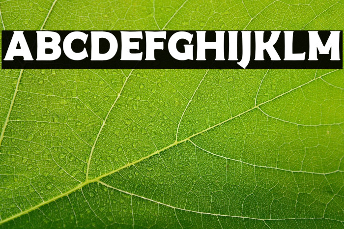 Western Brother Personal Use Example 1