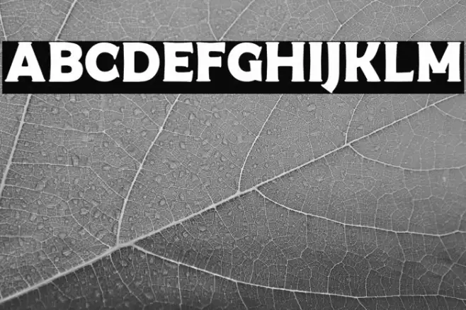 Western Brother Personal Use フォント examples