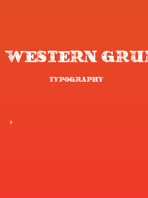 Western Grungy by Marta van Eck Poster