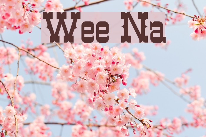Western Normal Font examples