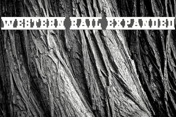 Western Rail Expanded Font examples