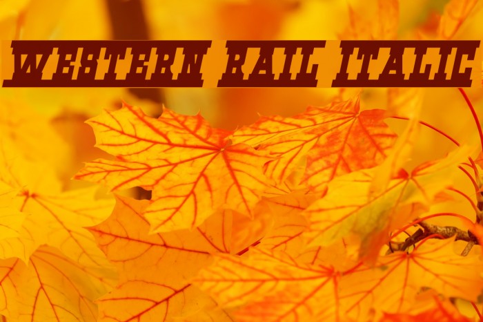 Western Rail Italic Font examples