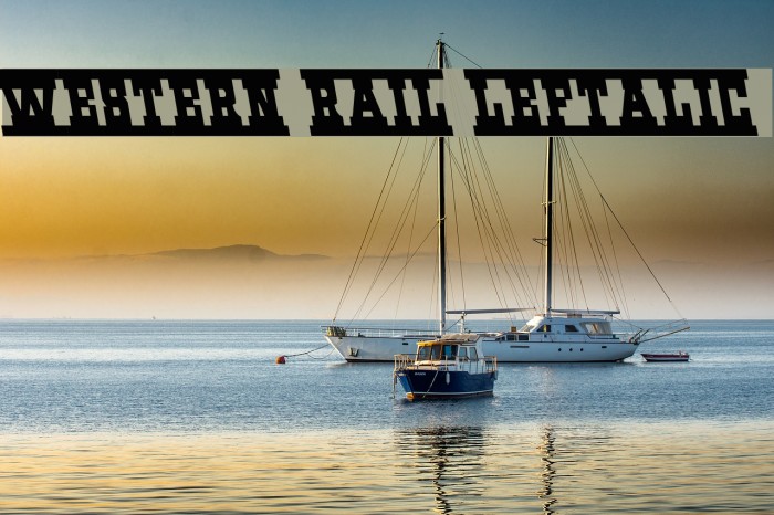 Western Rail Leftalic Example 3