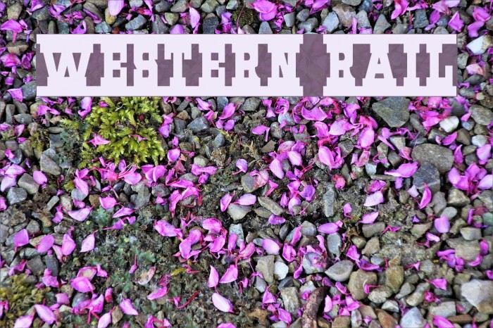 Western Rail Font examples