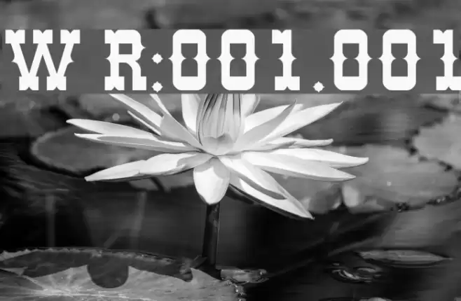 Western Regular:001.001 Font examples