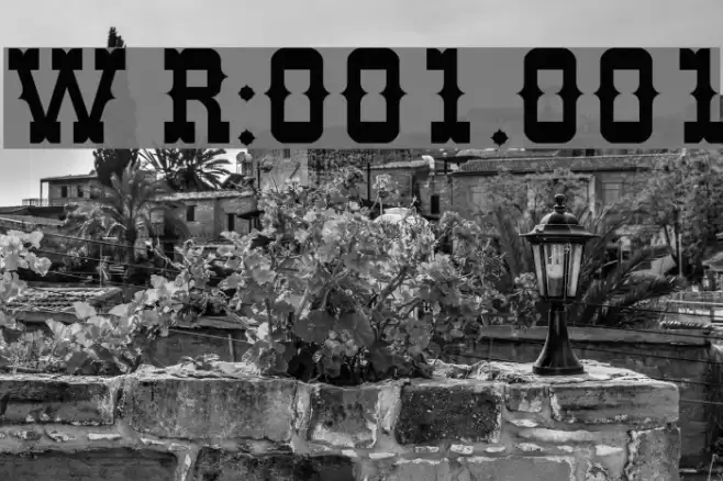 Western Regular:001.001 Font examples