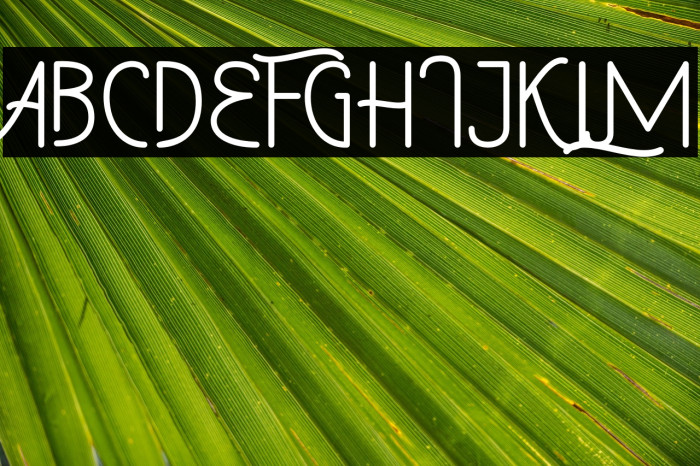 Western Retro Example 1