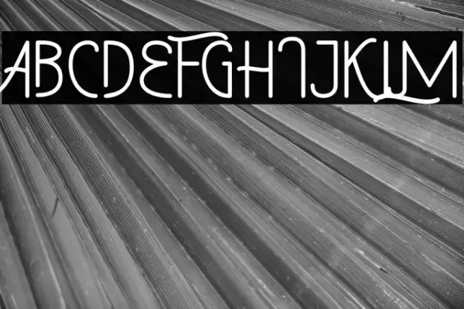 Western Retro Font examples