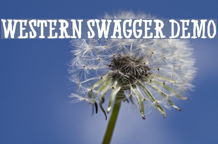 Western Swagger DEMO Example 1