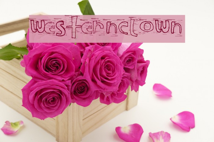 WesternClown Font examples