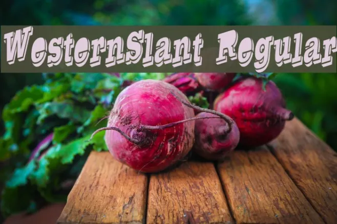 WesternSlant Regular Example 3