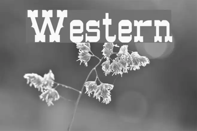 Western Font examples