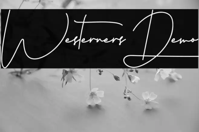 Westerners Demo フォント examples