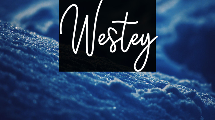 Westey Example 2