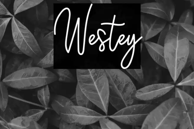 Westey Font examples