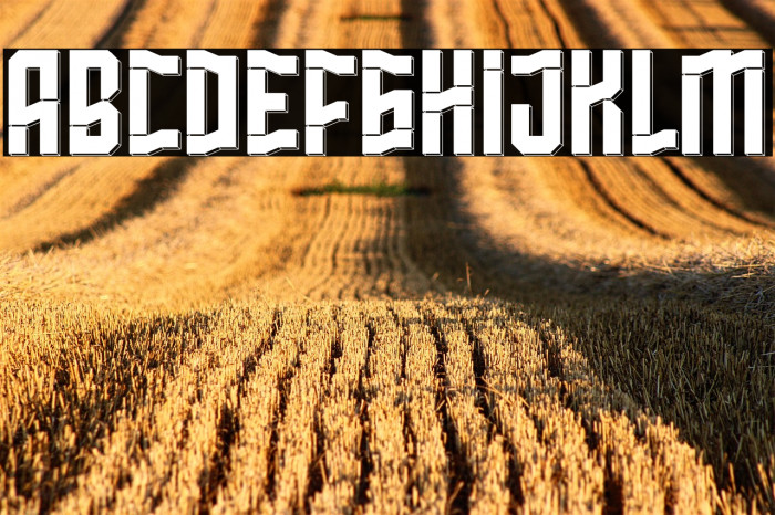 Westfalen Demo Example 2