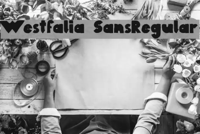 Westfalia SansRegular Font examples