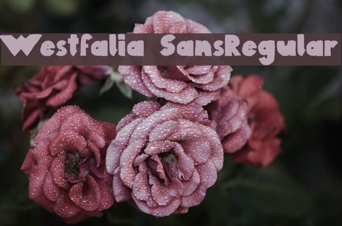 Westfalia SansRegular Font examples