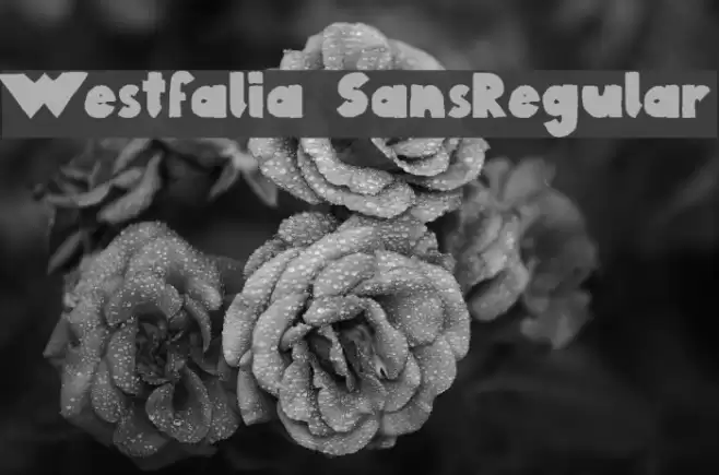 Westfalia SansRegular Font examples