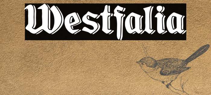 Westfalia Example 1