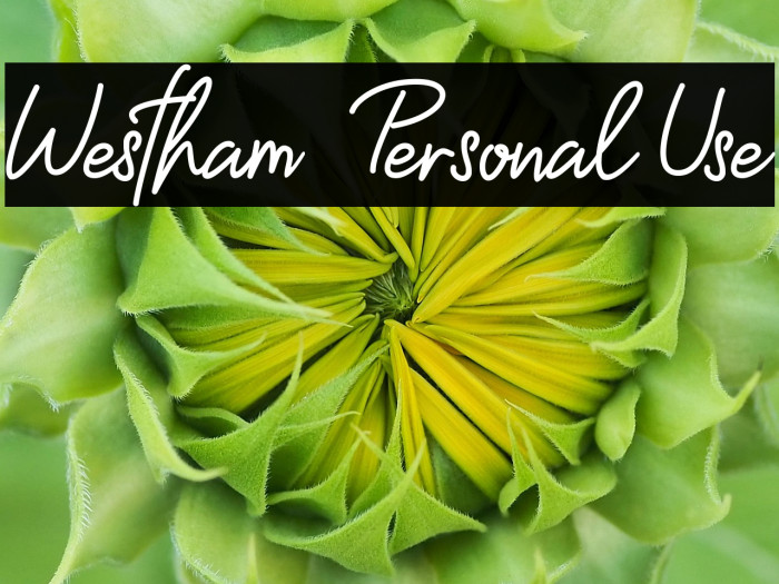 Westham - Personal Use Example 3