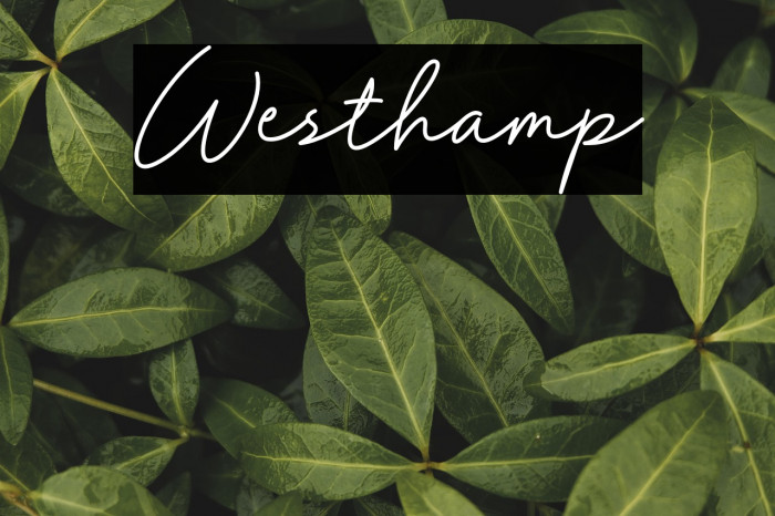 Westhamp Example 3