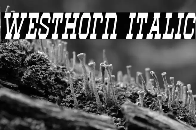Westhorn Italic Fuentes examples