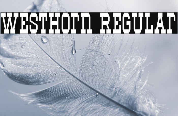 Westhorn Regular Example 2