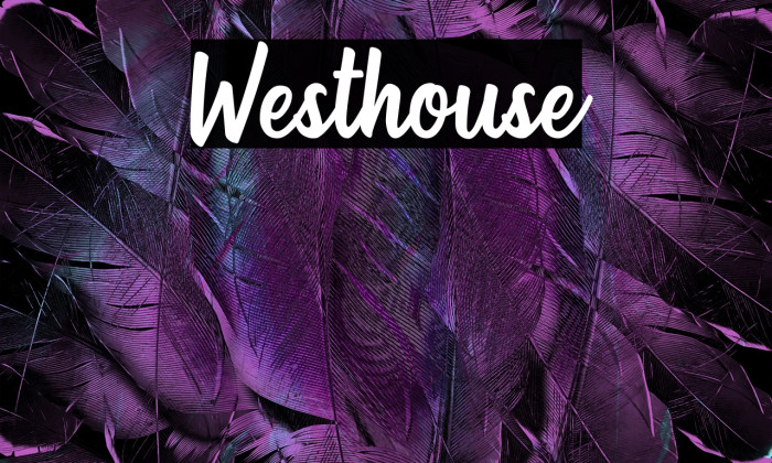 Westhouse Example 2