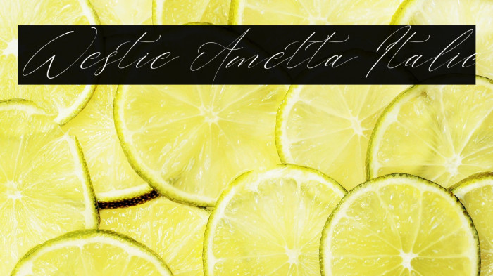 Westie Ametta Italic Example 2