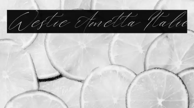 Westie Ametta Italic Font examples