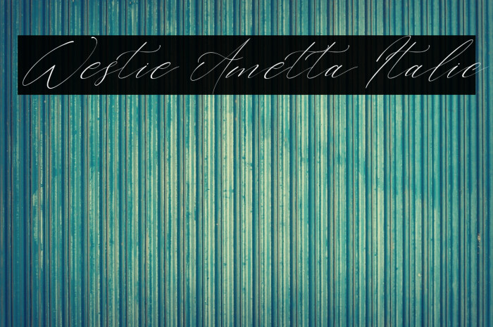 Westie Ametta Italic Example 3