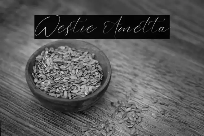 Westie Ametta Font examples