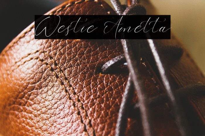 Westie Ametta Example 3