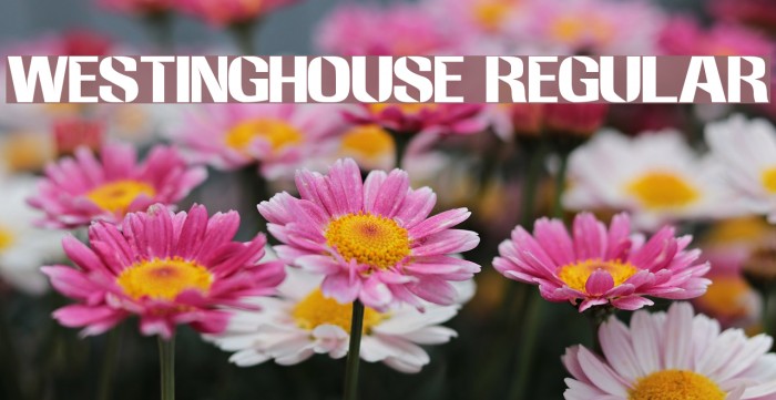 Westinghouse Regular Font examples