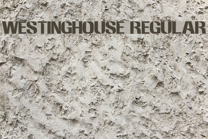 Westinghouse Regular Font examples