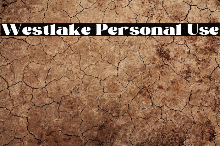 Westlake Personal Use Example 2