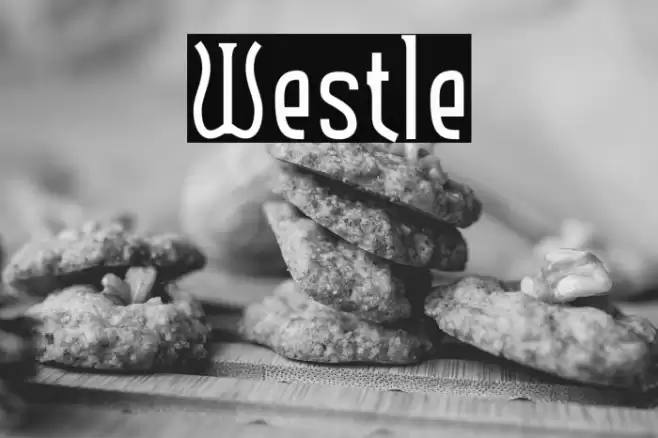 Westle Font examples