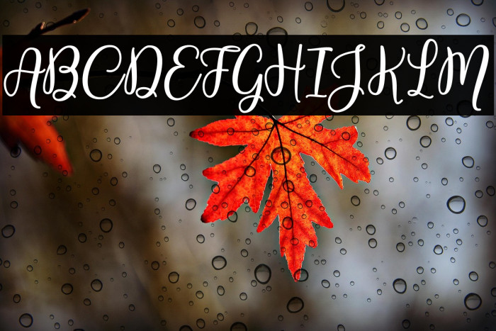 WestlineScriptDemo Example 2