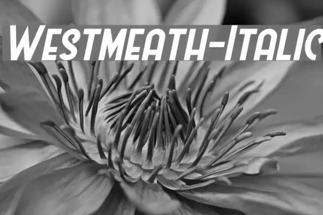 Westmeath-Italic Font examples