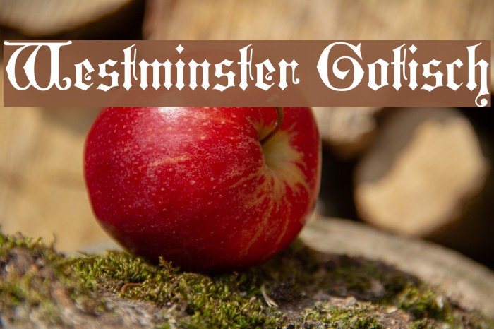 Westminster Gotisch Example 3