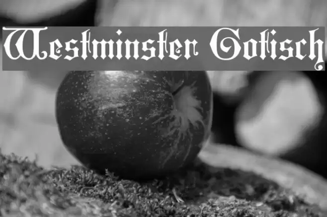 Westminster Gotisch Font examples