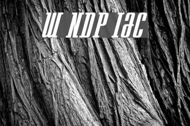 Westminster NDP Italic Font examples