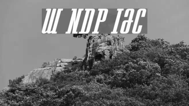 Westminster NDP Italic Font examples