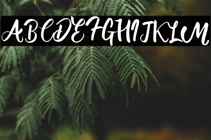 Westminster Example 1