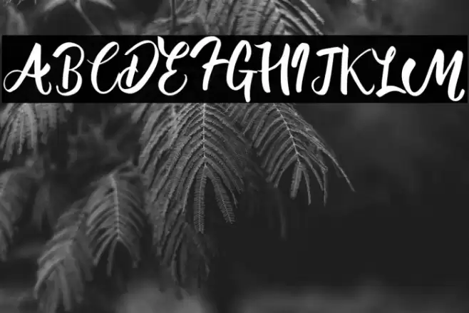 Westminster Font examples