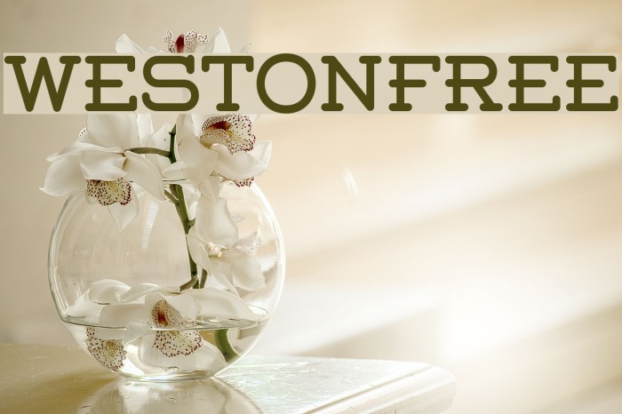 Weston-Free Font examples