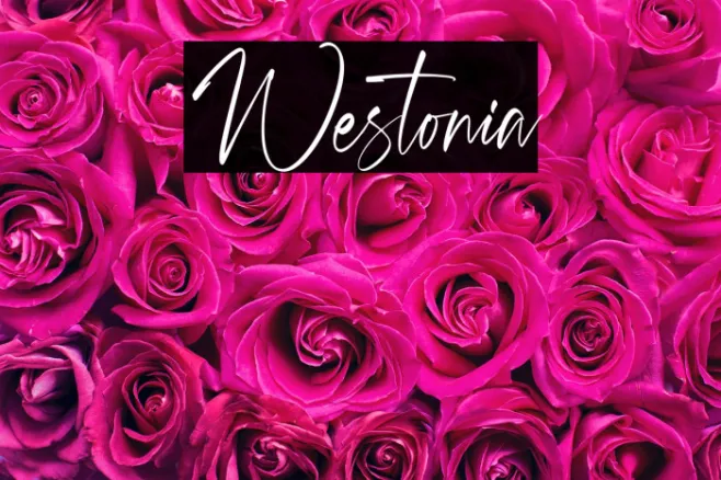 Westonia Example 1